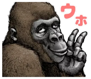 ✌ ウホ gorila, animal, macaco, engraçado, desenho telegram sticker
