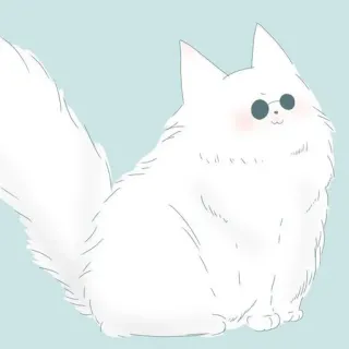 🐈 Katze, Tier, weiß, Brille, flauschig telegram sticker