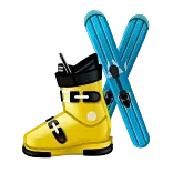 🎿