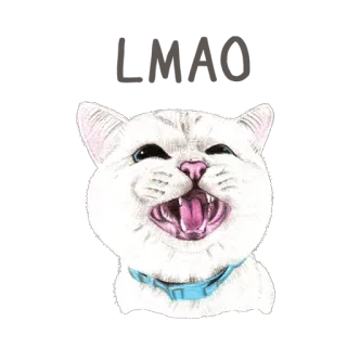 😊 고양이, 동물, 흰색, 애완동물, 귀여운, 새끼 고양이 telegram sticker