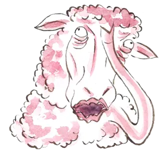 🤔 cừu, động vật, màu hồng, màu nước, hoạt hình, minh họa, vật nuôi telegram sticker