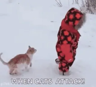 🥺 WHEN CATS ATTACK! cat, attack, snow, child, winter, animals telegram sticker