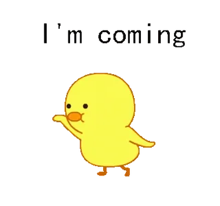 🐥 I'm coming pato, próximo, fofo, desenho animado telegram sticker