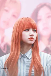 🍁 Lisa K-pop, cantante, acconciatura, Lisa, Blackpink, celebrità telegram sticker