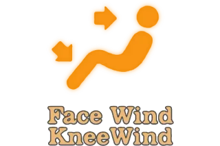 🚗 Face Wind Knee Wind telegram sticker
