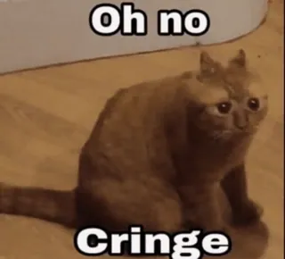 🥲 Oh no
Cringe kot, żenada, mem, śmieszne, internet, zwierzę, o nie whatsapp sticker
