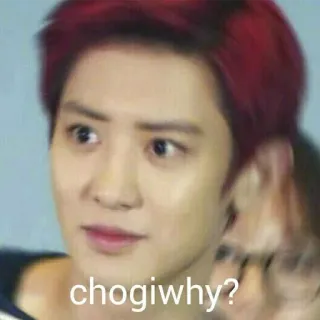 ❔ chogiwhy? meme, expression, funny, kpop, confused telegram sticker