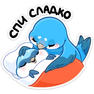 😴 спи сладко schlafend, vogel, niedlich, süß, ruhe, entspannung, kissen whatsapp sticker