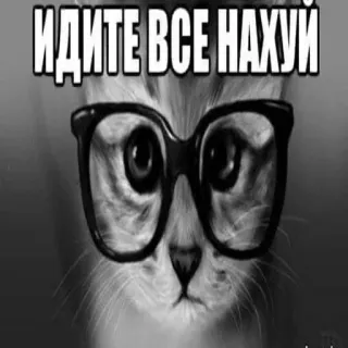 🖕 ИДИТЕ ВСЕ НАХУЙ 猫, メガネ, ロシア語, 攻撃的, ミーム, 悪態 telegram sticker