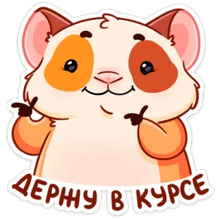 😉 ДЕРЖУ В КУРСЕ criceto, carino, animale, divertente, rimani informato, sticker telegram sticker