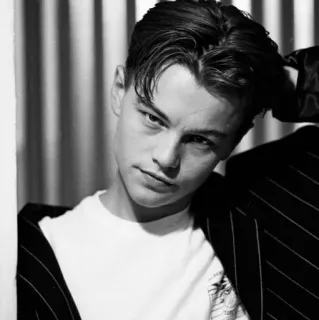 ⛓ Leonardo DiCaprio 演员, 肖像, 男人, 名人, 黑白 telegram sticker
