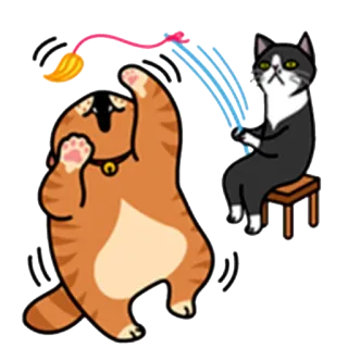 ⚡ кот, коты, играет, игрушка, питомец, животное, смешной whatsapp sticker