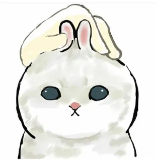 💗 królik, zajączek, uszy, zwierzę, słodki, zwierzę domowe telegram sticker