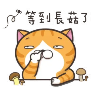 😴 等到咪長菇了 猫, きのこ, かわいい, 待機中, 疲れ telegram sticker