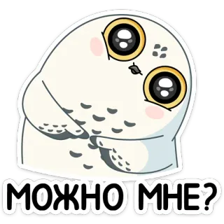 ❓ МОЖНО МНЕ? coruja, fofo, desenho animado, adesivo, pedido, solicitação telegram sticker
