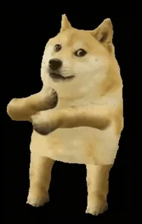 😄 Doge Doge, Pies, Meme, Meme internetowy, Shiba Inu, Zwierzę telegram sticker