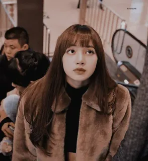 🥺 Lisa kpop, blackpink, lisa, célébrité, chanteuse, idole, coréen telegram sticker