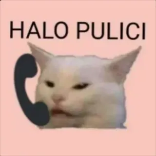📞 HALO PULICI cat, meme, telephone, animal whatsapp sticker