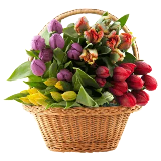🌻 цветы, тюльпаны, корзина, цветочная композиция, весна, подарок telegram sticker