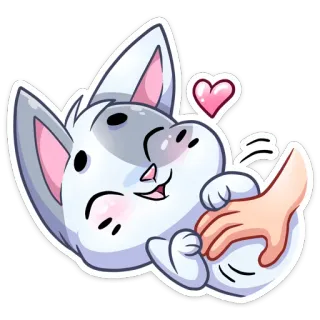 ❤ kot, słodki, zwierzę domowe, zwierzę, miłość, szczęśliwy whatsapp sticker