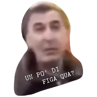 😁 UN PO' DI FIGA QUA? whatsapp sticker