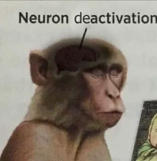 ⏸ Neuron deactivation małpa, mózg, nauka, neuron, zwierzę telegram sticker