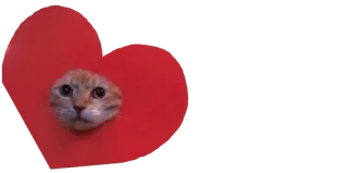 ❤️ gato, coração, animal, fofo, adesivo telegram sticker