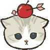 🐱