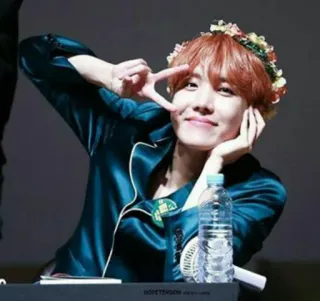 😊 J-Hope J-Hope, BTS, K-Pop, ca sĩ, vòng hoa, dấu hiệu hòa bình telegram sticker