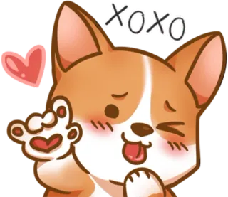 😉 XOXO corgi, dog, heart, love, xoxo, cartoon, cute telegram sticker