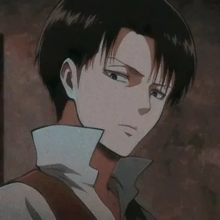 🗿 Levi Ackerman Attack on Titan anime, manga, attack on titan, levi ackerman, aot, soldier whatsapp sticker