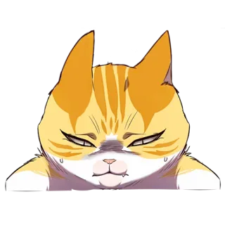 ☹️ kucing, hewan, ekspresi, stiker, kartun telegram sticker