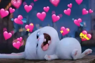 😉 Coelho, Corações, Amor, Fofo, Adorável whatsapp sticker