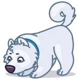 Big Floof telegram stickers