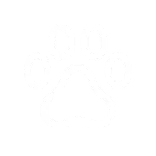🐾