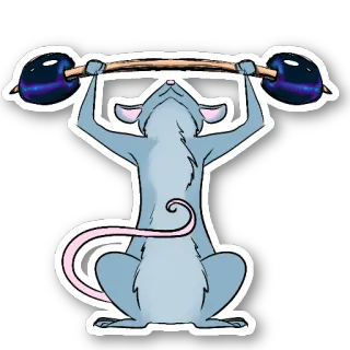 🏋️‍♀️ chuột, cử tạ, tập thể dục, thể hình, động vật, hoạt hình, nhãn dán telegram sticker