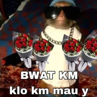 🌹 BWAT KM klo km mau y telegram sticker