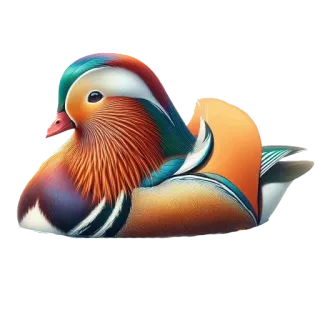 🌍 mandarin duck, bird, duck, wildlife, nature, colorful, waterfowl telegram sticker