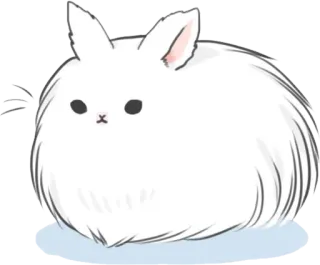 🐇 królik, słodki, biały, puszysty, zwierzę telegram sticker
