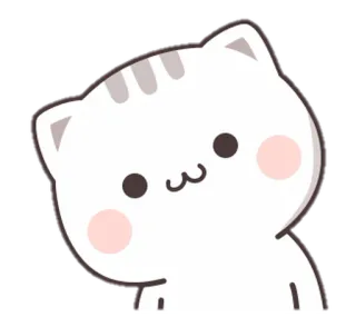 🐈 Katze, Kätzchen, süß, Tier, Haustier, Aufkleber whatsapp sticker