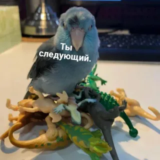 пушистые мемы @catsandsadness whatsapp stickers