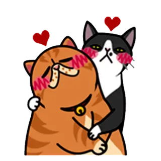 😍 кошки, любовь, животные, мультик, дружба, объятия, милые, нежность whatsapp sticker