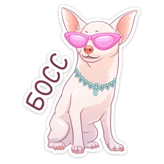 😎 БОСС cachorro, chihuahua, chefe, óculos de sol, colar, fofo, desenho animado whatsapp sticker