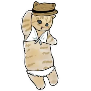 👙 gato, bikini, sombrero, lindo, animal, pegatina whatsapp sticker