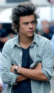 😀 Harry Styles celebrity, person, man, singer, harry styles telegram sticker
