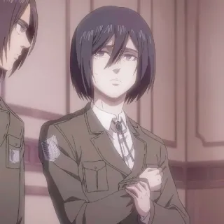 🔖 Mikasa Ackerman Attack on Titan anime, character, Mikasa, Attack on Titan, soldier, military uniform telegram sticker
