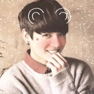 🌺 retrato, pessoa, homem, sorriso, fofo, filtro, rosto, filtro orelha telegram sticker