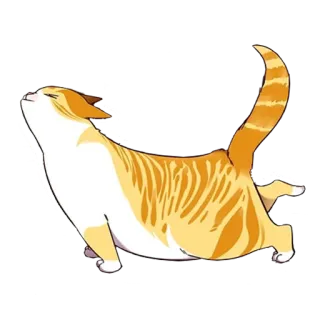 😮‍💨 kucing, meregangkan, oranye, hewan, peliharaan, kucing telegram sticker