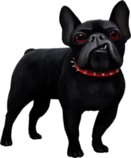 😠 Hund, Französische Bulldogge, Schwarz, Haustier, Tier telegram sticker