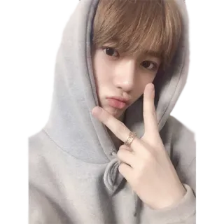 ✌️ ritratto, uomo, giovane, persona, segno di pace, casual, felpa con cappuccio telegram sticker